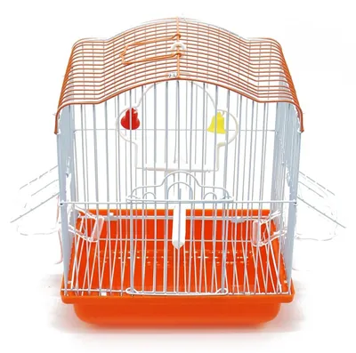 Image de Cage pour oiseaux en métal, avec distributeur de nourriture et abreuvoir