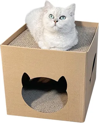 Image de Maison pour chat en carton avec griffoir, pour usage intérieur