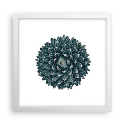 Produktbild von Gerahmtes Poster - Weißer Rahmen - Agave Königin Victoria - 30x30 cm - Wand Bild - Wanddeko - Wandbilder - Kunstposter - Wandposter - Bilderrahmen - Bilder - Kunstdruck - Wandbild - P2WAC30x30-4129