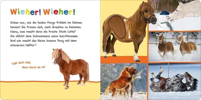 Produktbild von Hör mal rein, wer kann das sein? - Kleine Tiere im Schnee
