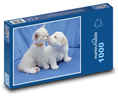 Obrázek produktu pro martinpuzzle - Puzzle 1000 - Pes - kočka