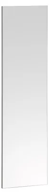 Productafbeelding van Schildmeyer spiegel, model 159934, afmetingen 30 x 3 x 110,5 cm