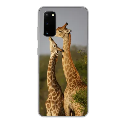 Produktbild von MuchoWow® Handyhülle Schutzhülle Hülle für Samsung Galaxy S20 Giraffe - Baum - Kalb - Porträt Silikon Softcase Handy Hülle - Bild