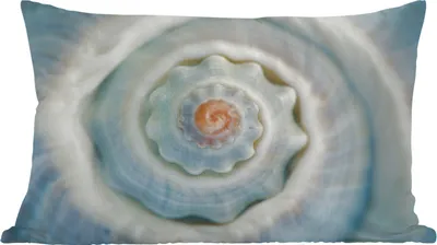 Produktbild von MuchoWow® Zierkissen Sofakissen Wohnzimmer Dekokissen 50x30 cm Muschel - Nahaufnahme - Blau - Wohnzimmerdekoration - Polster mit Photo