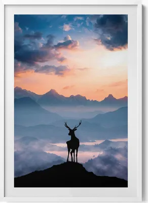 Produktbild von Hirsche auf einem Berggipfel– Wandbild mit Rahmen – Gerahmtes Bild  – Wanddekoration – 70x100 cm –  Weiß Rahmen