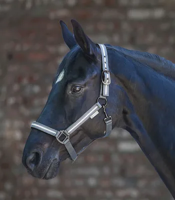 Zdjęcie produktu dla Reflex Halter Stripe, srebrnoszary, Cob