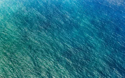 Immagine prodotto di Sanders & Sanders fotomurale natura blu verde 400 x 250 cm