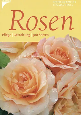 Produktbild von Rosen | Peter Kiermeier