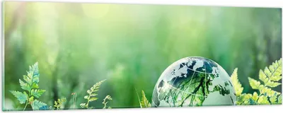 Produktbild von Bilder auf glas - natur natur - 90x30cm - Glasbilder - Wandbilder - Bilder - Kunstdruck - zum Aufhängen bereit - Wanddekoration aus Glas - Glas Bilder - Wandbild auf Glas - Einteilig - GAB90x30-4041