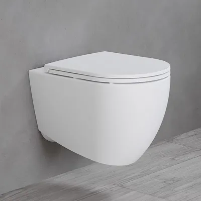 Immagine prodotto di Water WC a muro, senza anello di scarico, completo di sedile