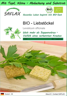 Produktbild von SAFLAX Garden to go - BIO - Liebstöckel - Levisticum officinale - 100 Samen - Mit Topf, Klima - Deckel und Anzuchtsubstrat