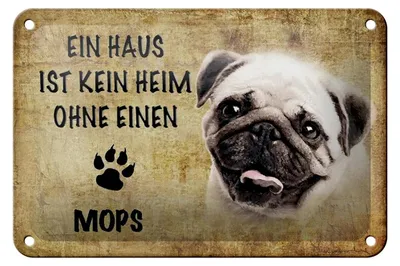 Produktbild von Blechschild Spruch 18x12cm Mops Hund ohne kein Heim