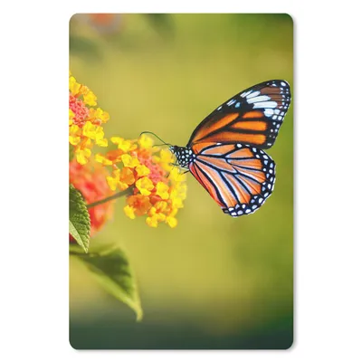 Produktbild von MuchoWow® Mauspad Mousepad Schmetterling - Insekten - Blumen - Gelb 18x27 cm - Mousepads - Maus Mat - Pad - Mausunterlage