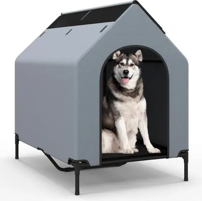 Immagine prodotto di Cuccia per cani 2 in 1 e letto rialzato - Cuccia per cani di taglia media - Tessuto a rete traspirante - Rivestimento sfoderabile - 75×110×106 cm - Grigio