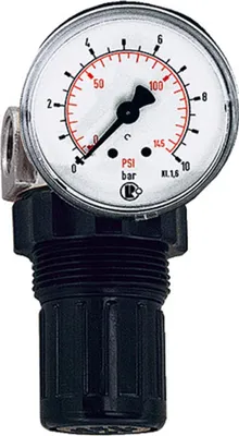 Produktbild von Riegler Druckregler für Wasser, inkl. Mano, G 1/4, 0,2-6 bar, PE max. 25