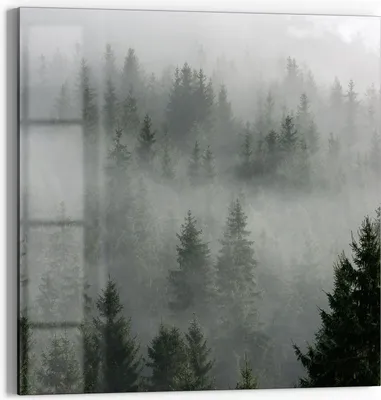 Produktbild von DEQORI Glasbild Echtglas 50x50 cm 'Nebelwaldmystik' Wandbild Bild modern Deko
