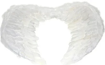 Immagine prodotto di Ali d'angelo grande 35x58 cm