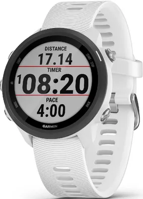 Image de Garmin FORERUNNER 245 GPS Musique | blanc/noir | 010-02120-31