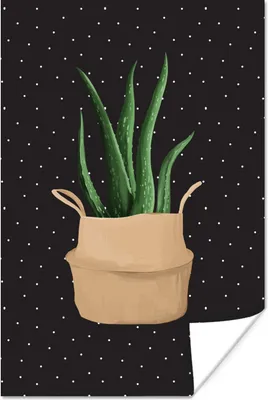 Produktbild von MuchoWow® Poster Pflanze - Aloe Vera - Pflanzgefäß 80x120 cm - Papierdruck