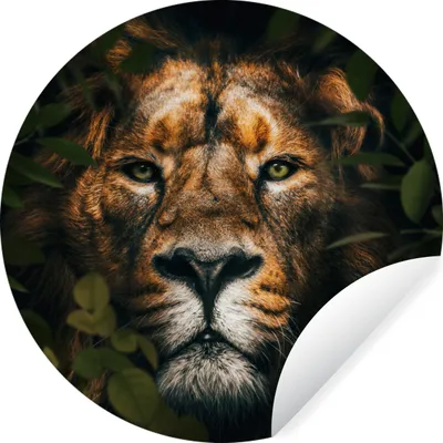 Produktbild von MuchoWow® - Wandbild - Fototapete - Selbstklebend - Dekoration - Wandschmuck - Schlafzimmer
