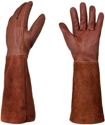 Image de Gants de jardinage longs en cuir, résistants aux épines et aux coupures, taille XL