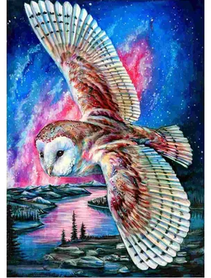 Image de NORIMPEX, coussin décoratif "Diamantov", petit format, 30 x 40 cm