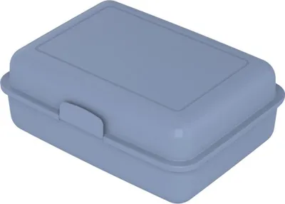 Obrázek produktu pro Krabička na oběd "School-Box" velká - Udržitelná krabička na oběd z cukrové třtiny - Krabička na oběd ideální pro děti i dospělé - chrpa