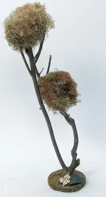 Produktbild von Baum für Krippe aus Naturmaterial. Krippenbotanik. 15x15x40 cm.