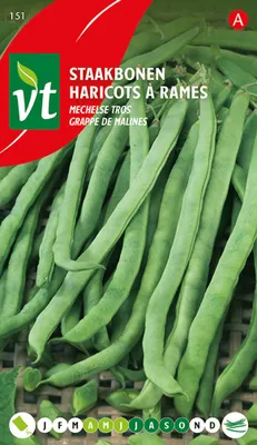 Obrázok produktu pre Semená fazule Mechelse Tros - cca 50 gr | VT_151