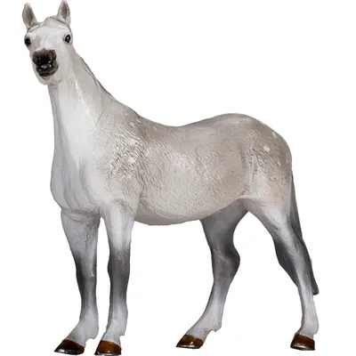 Immagine prodotto di Mojo Orlovsky trotter
