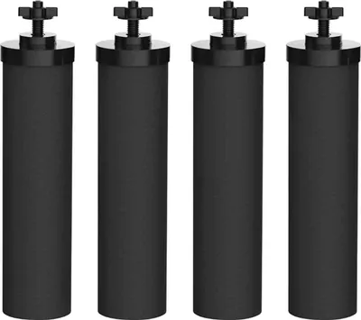 Four black water filter cartridges are arranged in a row against a white background.