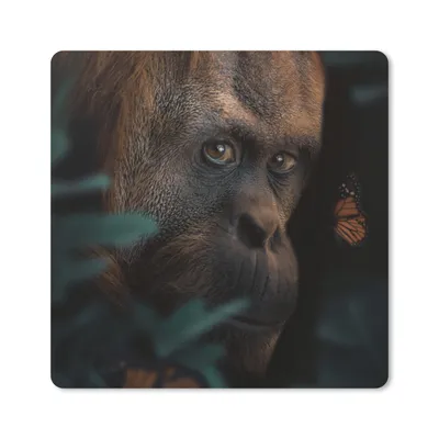 Produktbild von MuchoWow® Mauspad Mousepad Schmetterling - Affe - Pflanzen 20x20 cm - Mousepads - Maus Mat - Pad - Mausunterlage - Desk Mat - Bureauartikeln