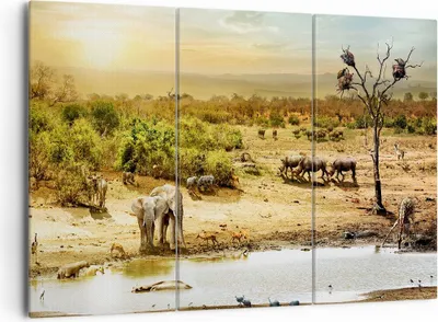 Produktbild von Bild auf Leinwand - Leinwandbild - Safari Tiere - 165x110cm - Wand Bild - Wanddeko - Wandbilder - Leinwanddruck - Bilder - Kunstdruck - Wanddekoration - Leinwand bilder - Wandkunst - CE165x110-3880