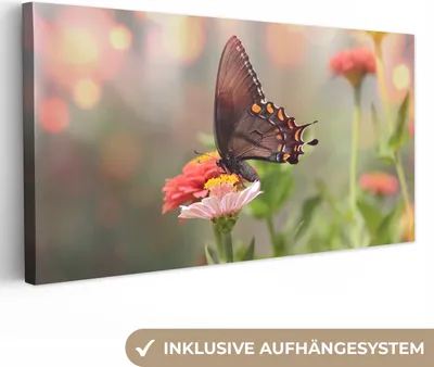 Produktbild von MuchoWow® - Leinwandbilder - Blumen - Schmetterling - Natur - Blume, Wandbild, Wanddeko Bilder Wohnzimmer, 40x20 cm
