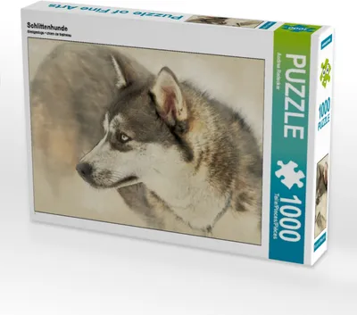 Produktbild von Calvendo Schlittenhunde 1000 Teile Puzzle quer 640x480mm, Redecker Andrea; 7366035