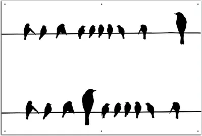 Produktbild von Wallario Outdoor-Poster für Garten oder Balkon, Motiv Vögel auf einer Stromleitung, in ca. 61 x 91,50 cm