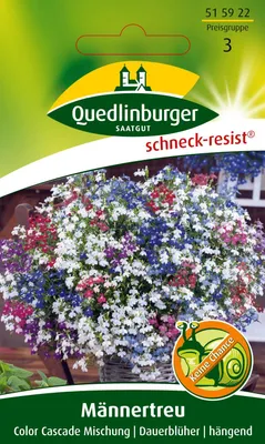 Produktbild von Männertreu Color Cascade Mischung | Blumensamen von Quedlinburger