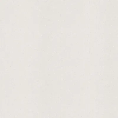 Produktbild von A.S. Création Vliestapete Meistervlies Pro Protect 2, weiss, überstreichbar, 25,00 m x 1,06 m, 573612, 5736-12