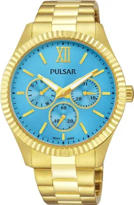 Image de Montres Pulsar pp6220x1