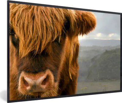 Produktbild von MuchoWow® MuchoWow® Gerahmtes Poster Schottisches Hochlandrind - Natur - Porträt 60x40 cm - Poster mit zchwarzem Bilderrahmen - Printing - Wanddeko Schlafzimmer