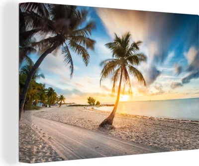 Zdjęcie produktu dla OneMillionCanvasses® - Obraz na płótnie - 150x100 cm, Zachód słońca - Plaża - Palma, Dekoracja ścienna z nadrukiem
