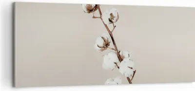 Produktbild von Bild auf Leinwand - Leinwandbild - Einteilig - Baumwolle Zweig Boho - 100x40cm - Wand Bild - Wanddeko - Wandbilder - Leinwanddruck - Bilder - Wanddekoration - Leinwand bilder - AB100x40-4730