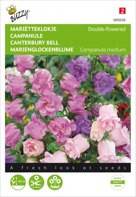 Produktbild von Marien-Glockenblume Gefüllte Mischung | Glockenblumensamen von Buzzy Seeds