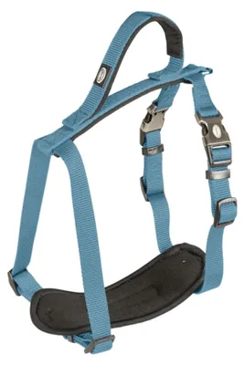 Obrázek produktu pro Postroj nylon North modrý 1,5x30-40cm Duvo+
