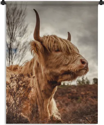 Produktbild von MuchoWow® Wandteppich Wandbehang Scottish Highlander - Strauch - Heidekraut 90x120 cm Tapisserie Dekoration Wandtuch - Wanddeko