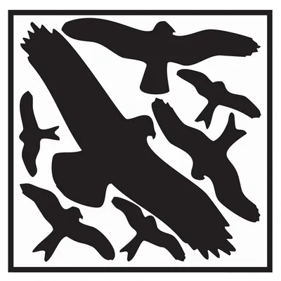 Produktbild von Aufkleber L290xB320 mm Vogelschutzset,Vogelsymbole Folie selbstkl.
