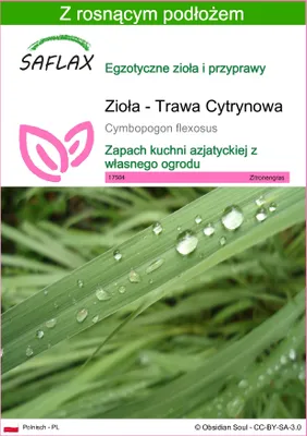 Zdjęcie produktu dla SAFLAX - Zioła - Trawa Cytrynowa - 50 Nasiona - Z podłożem uprawowym wolnym od zarazków - Cymbopogon flexosus