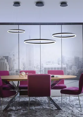 Immagine prodotto di PAUL NEUHAUS Lampada a sospensione LED 2382-13 antracite, 38,5 W, 5250 lm, 3000 K