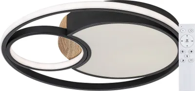 Obrázek produktu pro Rabalux Černé stropní LED svítidlo Leola 480mm 81W CCT s DO 71044