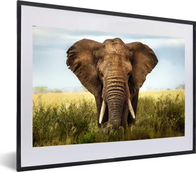 Produktbild von MuchoWow® MuchoWow® Gerahmtes Poster Elefant - Gras - Tiere - Natur 60x40 cm - Poster mit zchwarzem Bilderrahmen - Schlafzimmer - Plakat in Rahmen - Drucken